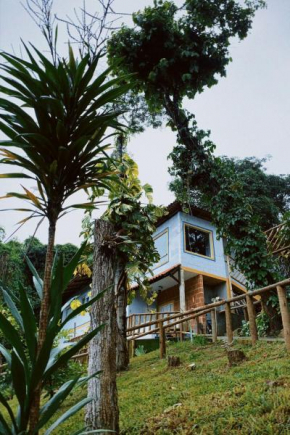Sensorial Macacos